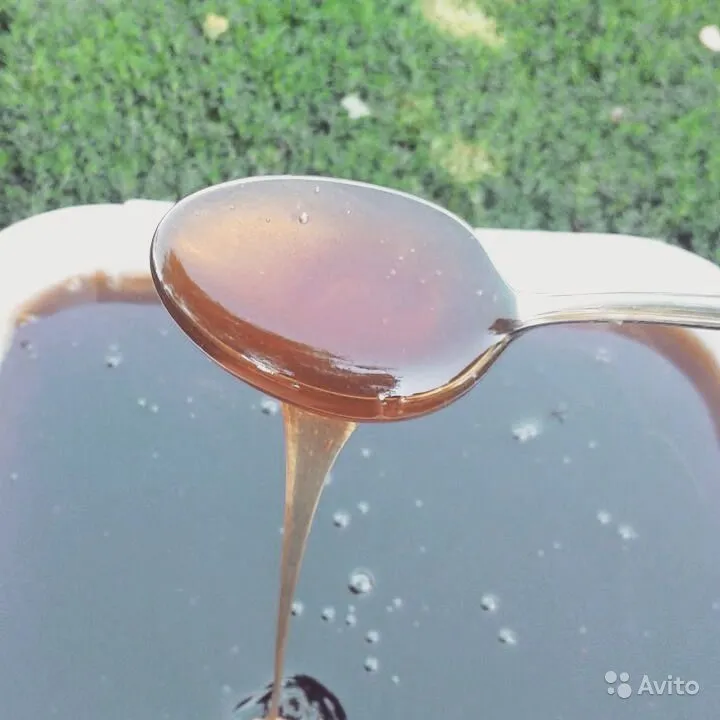 мёд гречишный в Челябинске 4